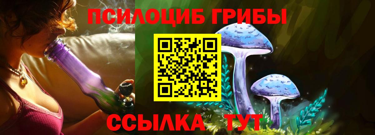 Псилоцибиновые грибы Psilocybine cubensis Отрадное